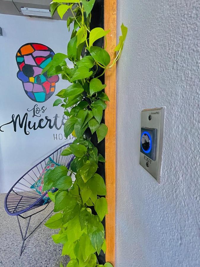Los Muertos Hostal Puerto Vallarta Exterior photo